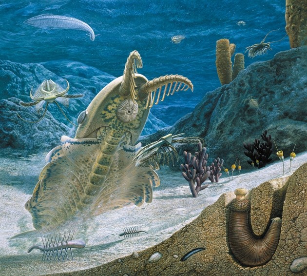 What sparked the Cambrian explosion? | Nature