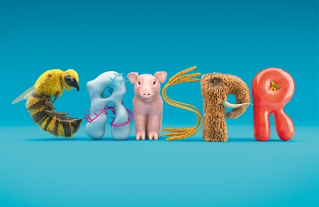 CRISPR everywhere | Nature CRISPR everywhere | Nature