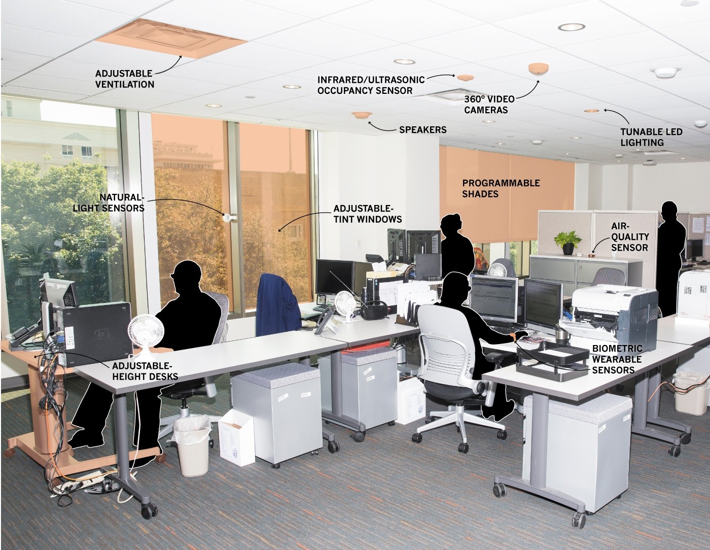 The office experiment: Can science build the perfect workspace? | Nature