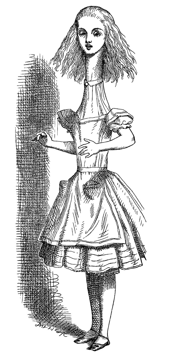 History Untangling Alice Nature