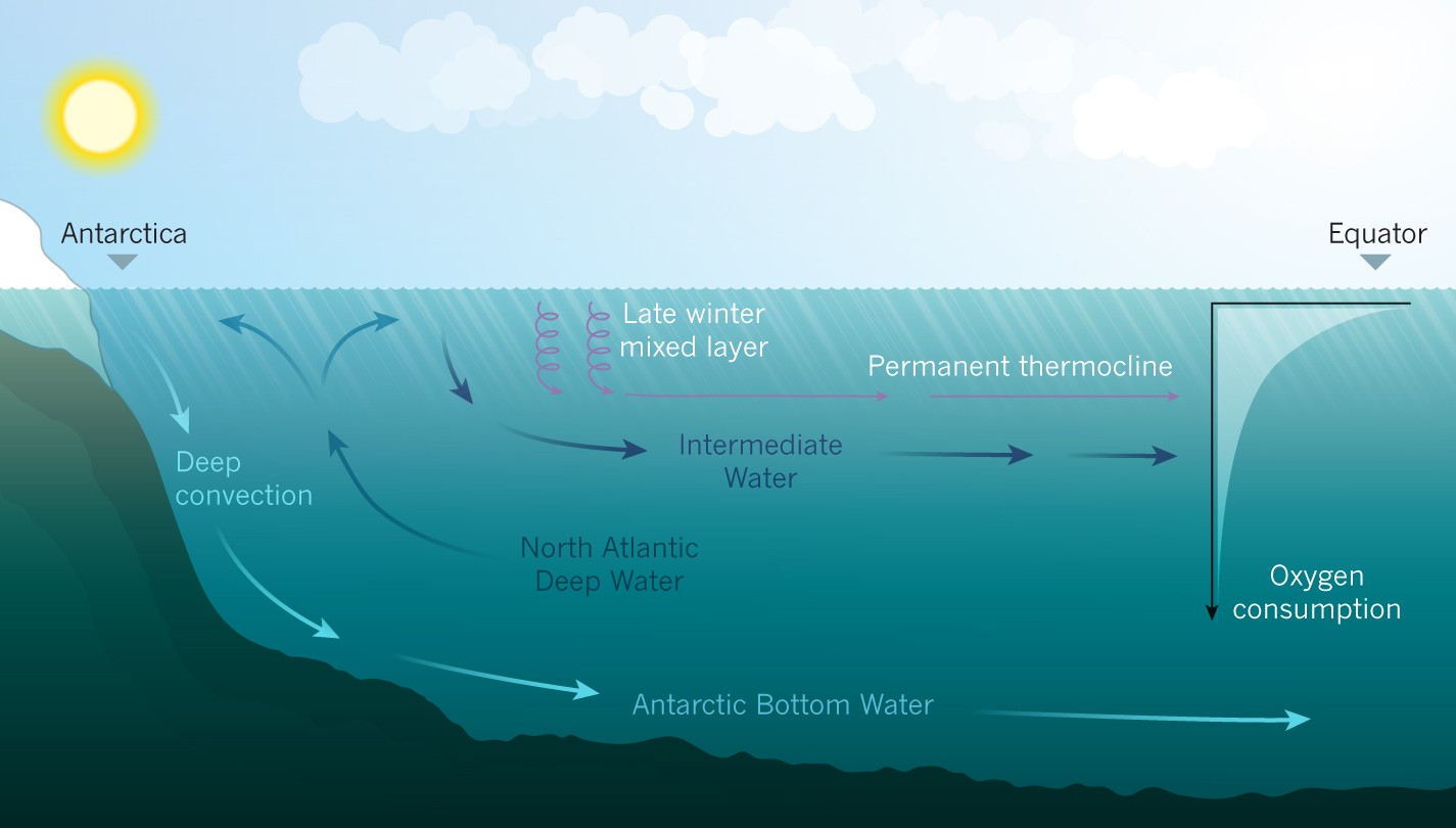 Oceans lose oxygen | Nature