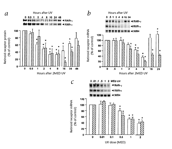 Ultraviolet Irradiation Of Human Skin Causes Functional Vitamin A Deficiency Preventable By All Trans Retinoic Acid Pre Treatment Nature Medicine
