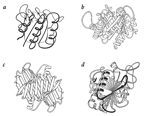 Protein structure ribbon diagrams forming human body on Craiyon