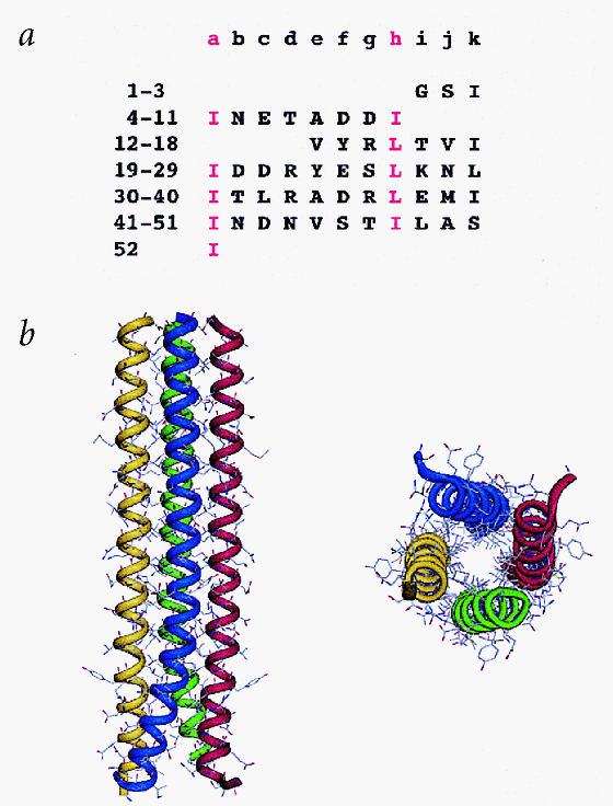 Crystal Structure Of A Naturally Occurring Parallel Right Handed