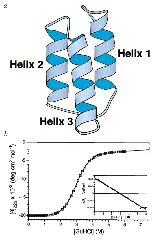 Preorganized Secondary Structure As An Important Determinant Of Fast Protein Folding Nature Structural Molecular Biology Preorganized Secondary Structure As An Important Determinant Of Fast Protein Folding Nature Structural Molecular Biology