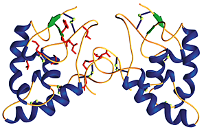 Frizzled Proteins Pair Up Nature Structural Molecular Biology