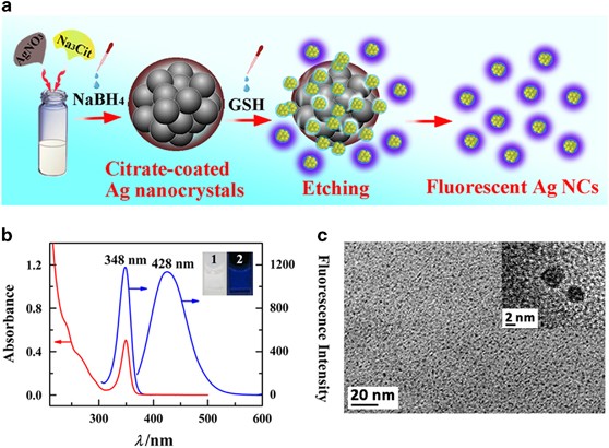 The pH-switchable agglomeration and dispersion behavior of fluorescent Ag  nanoclusters and its applications in urea and glucose biosensing | NPG Asia  Materials