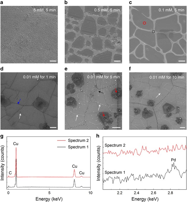 A Facile Method For The Selective Decoration Of Graphene Defects Based On A Galvanic Displacement Reaction Npg Asia Materials