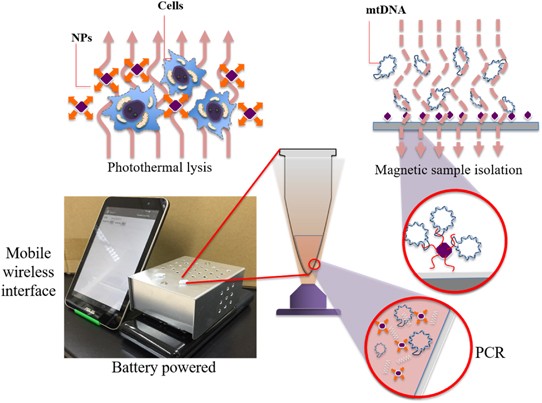 Handheld Energy Efficient Magneto Optical Real Time Quantitative Pcr Device For Target Dna Enrichment And Quantification Npg Asia Materials Handheld Energy Efficient Magneto Optical Real Time Quantitative Pcr Device For Target Dna Enrichment And Quantification Npg Asia Materials