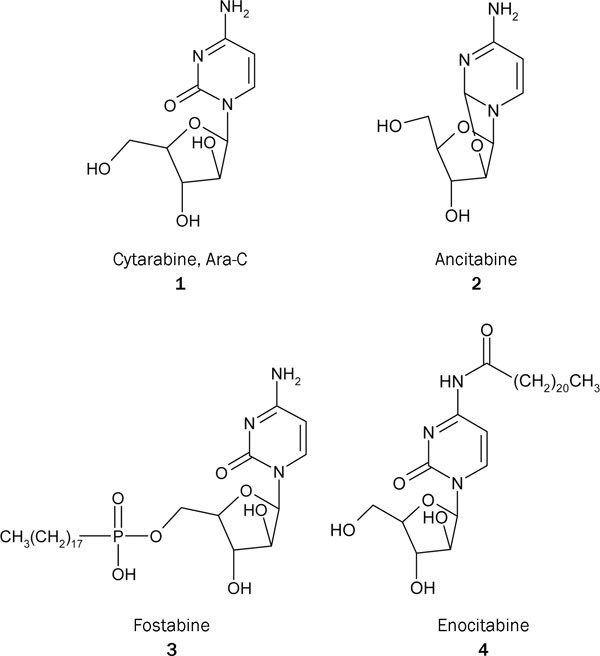 Cosmic Stearinlys Trafik Novel liver-specific cholic acid-cytarabine conjugates with potent  antitumor activities: Synthesis and biological characterization | Acta  Pharmacologica Sinica