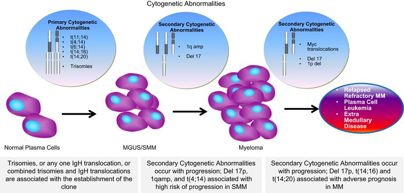 Interpretation Of Cytogenetic Results In Multiple Myeloma - 