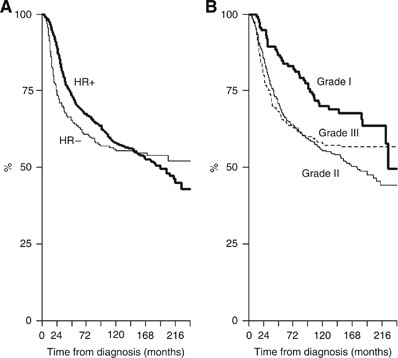 Time-varying effect and long-term survival analysis in breast cancer  patients treated with neoadjuvant chemotherapy | British Journal of Cancer