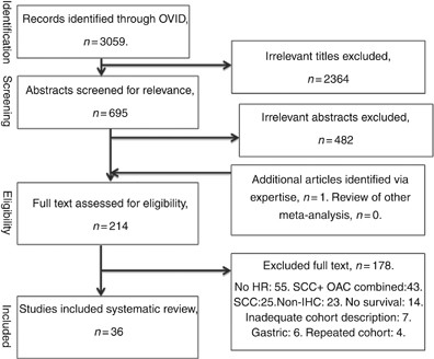 Systematic review and meta-analysis of immunohistochemical prognostic  biomarkers in resected oesophageal adenocarcinoma | British Journal of  Cancer