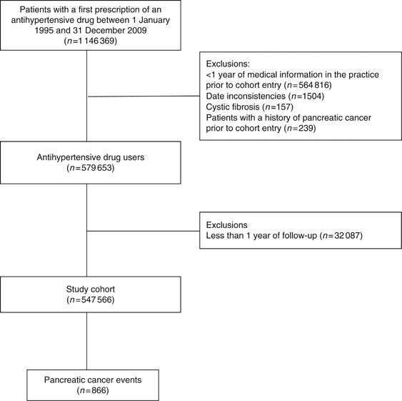 The Use Of Drugs Acting On The Renin Angiotensin System And The Incidence Of Pancreatic Cancer British Journal Of Cancer