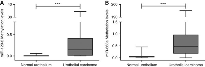 Microrna Promoter Methylation A New Tool For Accurate Detection Of Urothelial Carcinoma British Journal Of Cancer Microrna Promoter Methylation A New Tool For Accurate Detection Of Urothelial Carcinoma British Journal Of Cancer