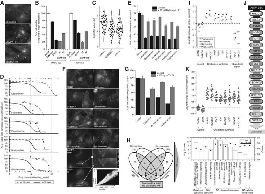 Modulating Cancer Cell Survival By Targeting Intracellular Cholesterol Transport British Journal Of Cancer Modulating Cancer Cell Survival By Targeting Intracellular Cholesterol Transport British Journal Of Cancer