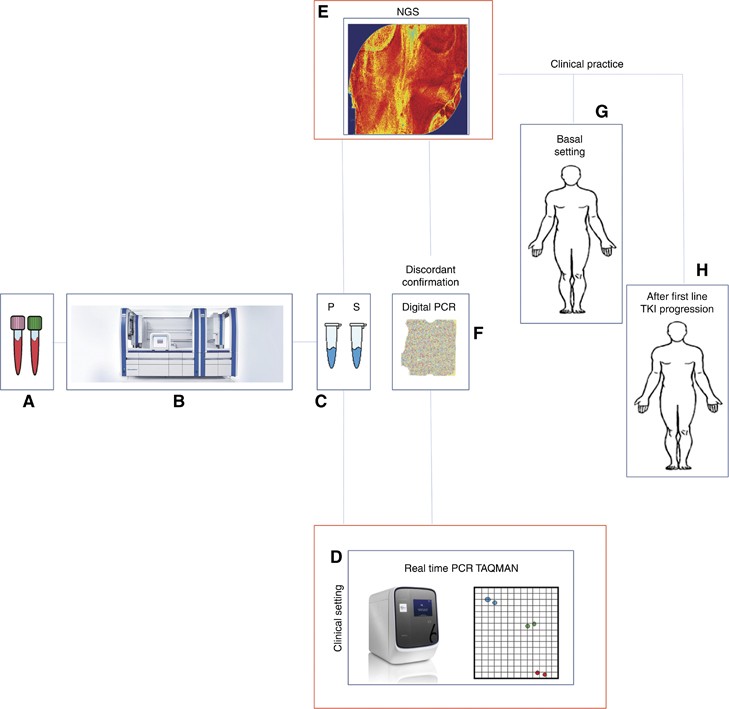 Development of a gene panel for next-generation sequencing of clinically  relevant mutations in cell-free DNA from cancer patients | British Journal  of Cancer