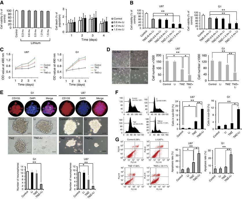 Lithium enhances the antitumour effect of temozolomide against TP53  wild-type glioblastoma cells via NFAT1/FasL signalling | British Journal of  Cancer