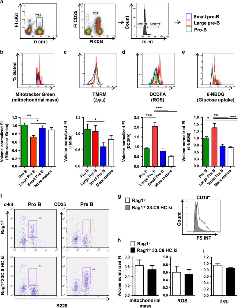 A Defined Metabolic State In Pre B Cells Governs B Cell