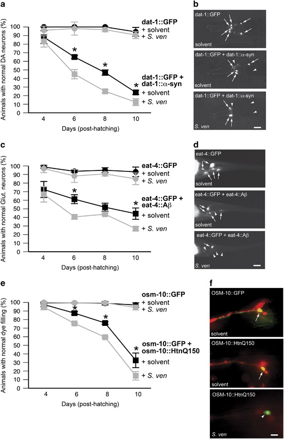 glutathione in bacteria Full article: Effects of Glutathione on Antibiotic Susceptibility and  Resistance in Bacteria: A Comprehensive Review main image 1
