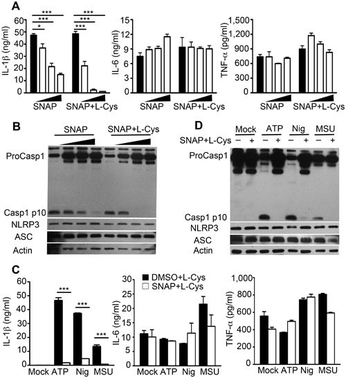 Nitric oxide suppresses NLRP3 inflammasome activation and protects against  LPS-induced septic shock | Cell Research