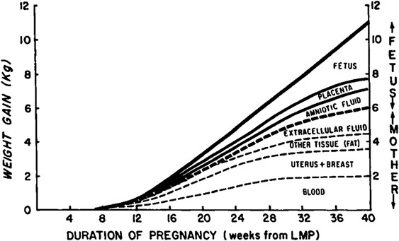Body Composition Changes In Pregnancy Measurement