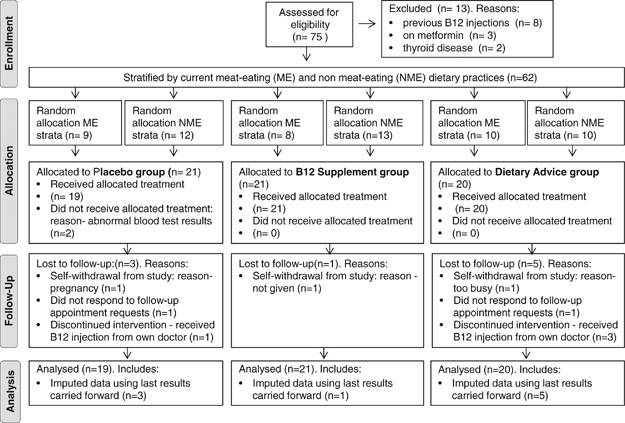 Preventing vitamin B12 deficiency in South Asian women of childbearing age:  a randomised controlled trial comparing an oral vitamin B12 supplement with  B12 dietary advice | European Journal of Clinical Nutrition
