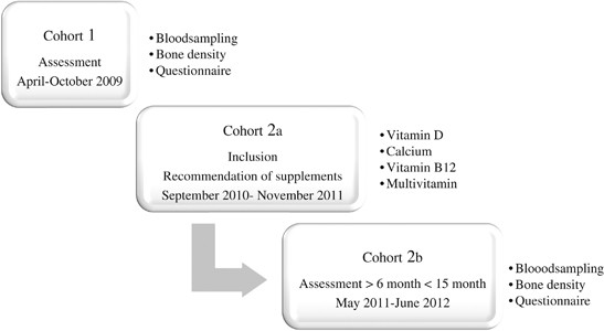 Vitamin D And Vitamin B12 Deficiencies Are Common In