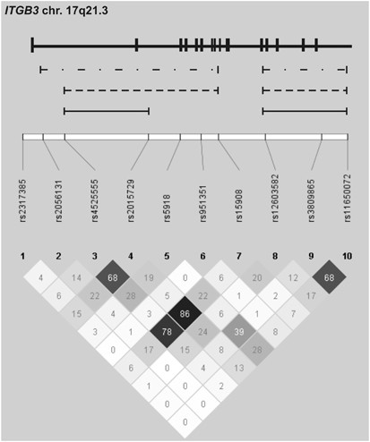 Family-based association study of ITGB3 in autism spectrum 