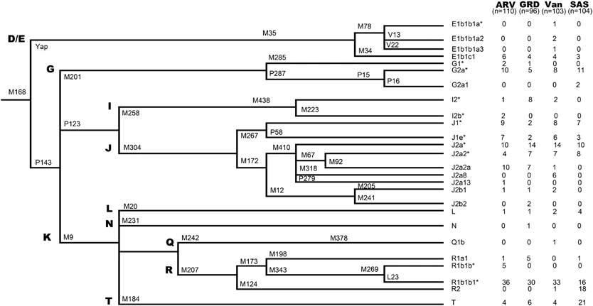 41431_2012_Article_BFejhg2011192_Fig2_HTML.jpg