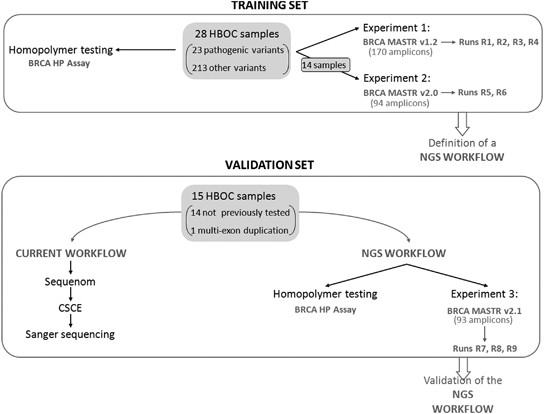 Next-Generation Sequencing Meets Genetic Diagnostics: Development.