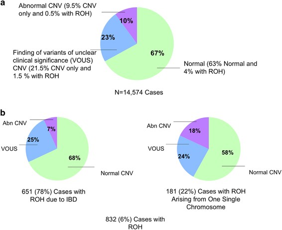 4th degree of consanguinity diagram