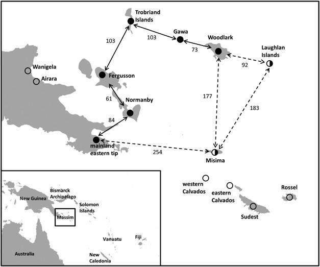 Human genetics of the Kula Ring: Y-chromosome and mitochondrial DNA  variation in the Massim of Papua New Guinea | European Journal of Human  Genetics