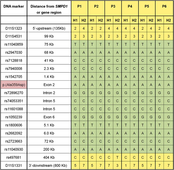 Niemann-Pick disease A or B in four pediatric patients and SMPD1