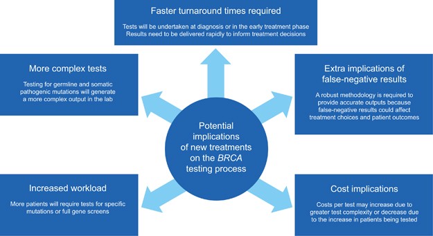 Finding All Brca Pathogenic Mutation Carriers: Best Practice Models |  European Journal Of Human Genetics