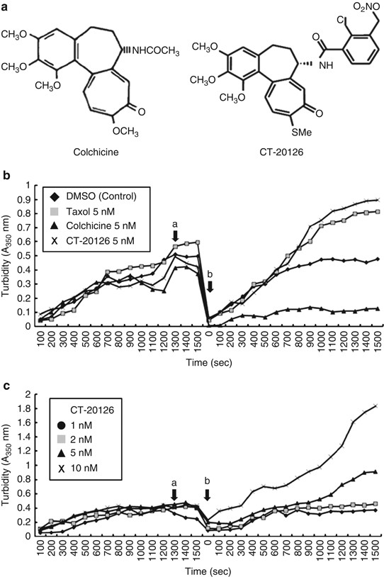 The colchicine derivative CT20126 shows a novel microtubule-modulating  activity with apoptosis | Experimental & Molecular Medicine