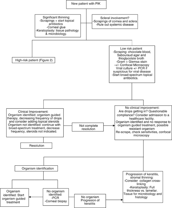 PDF) Management of severe Acanthamoeba keratitis and complicated cataract  following laser in situ keratomileusis