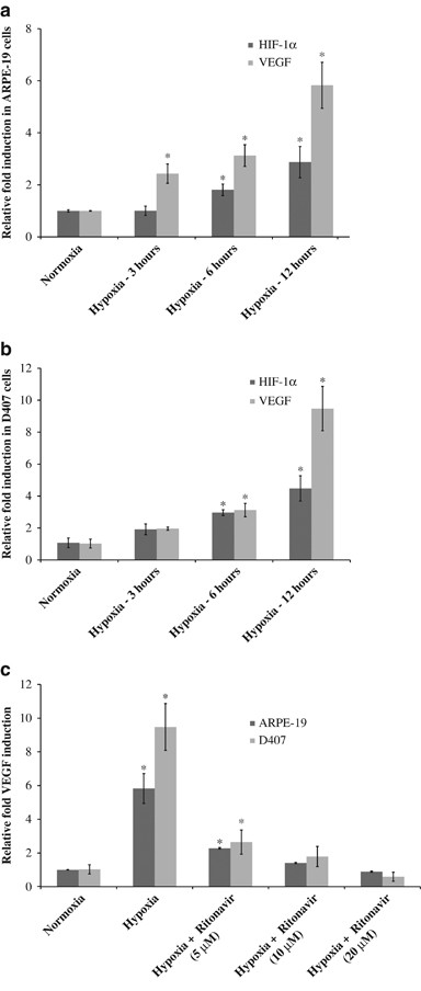 chloroquine resistant malaria haiti