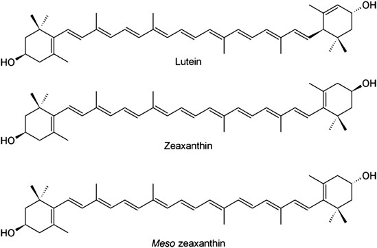 What is meso-zeaxanthin, and where does it come from? | Eye