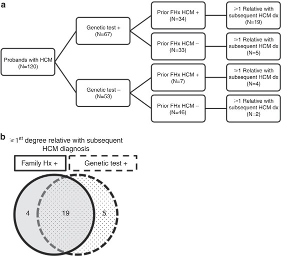 Genetic Testing Impacts The Utility Of Prospective Familial Screening In Hypertrophic Cardiomyopathy Through Identification Of A Nonfamilial Subgroup Genetics In Medicine