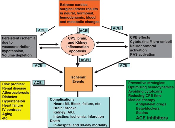 ace inhibitors for hypertension and diabetes)