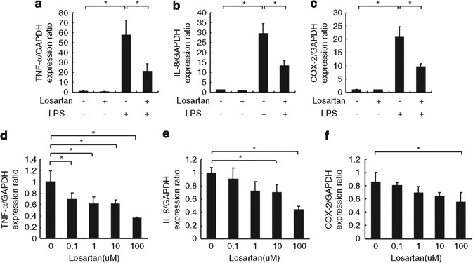 Losartan inhibits LPS-induced inflammatory signaling through a  PPARγ-dependent mechanism in human THP-1 macrophages | Hypertension Research