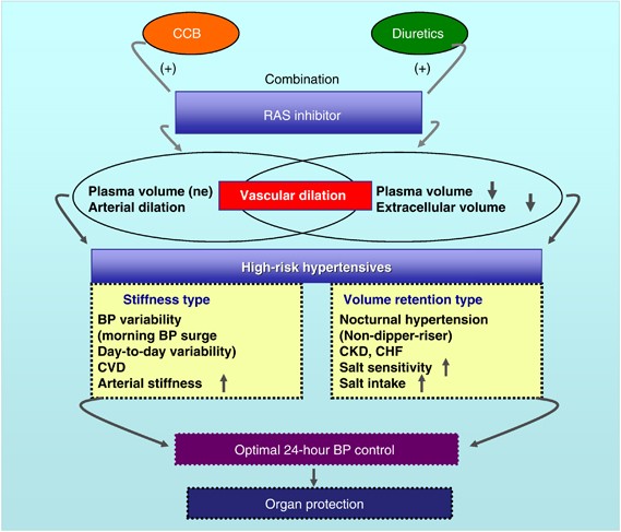 tamoxifen uses in telugu