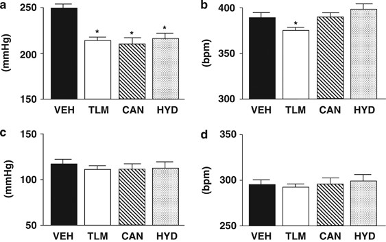 Sympathoinhibition caused by orally administered telmisartan through  inhibition of the AT1 receptor in the rostral ventrolateral medulla of  hypertensive rats | Hypertension Research