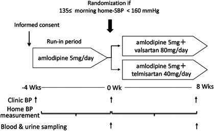 Comparative effects of telmisartan and valsartan as add-on agents for  hypertensive patients with morning blood pressure insufficiently controlled  by amlodipine monotherapy | Hypertension Research