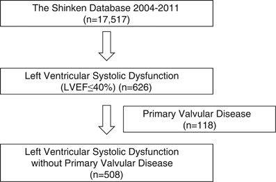 Left Ventricular Systolic Dysfunction