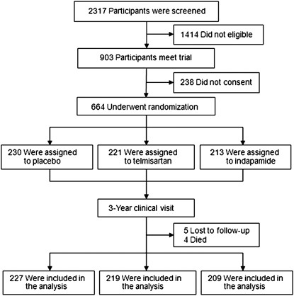 Prevention of metabolic disorders with telmisartan and indapamide in a  Chinese population with high-normal blood pressure | Hypertension Research