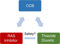 Safety and clinical outcome in combination therapy for high-risk elderly  hypertensive patients | Hypertension Research