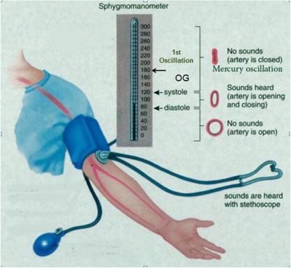 Blood pressure measurement