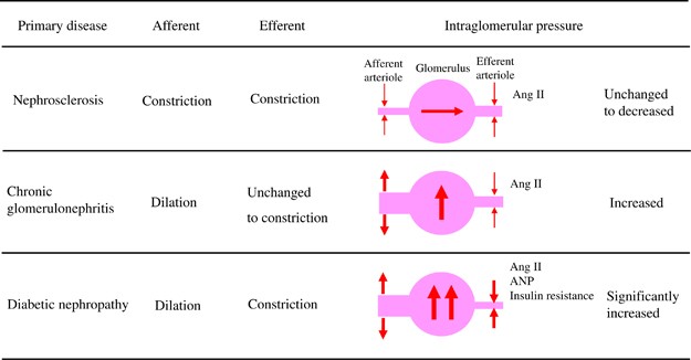 Multifunctional L N And L T Type Calcium Channel Blockers For